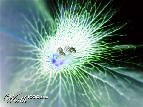 Photography by Woollysheep