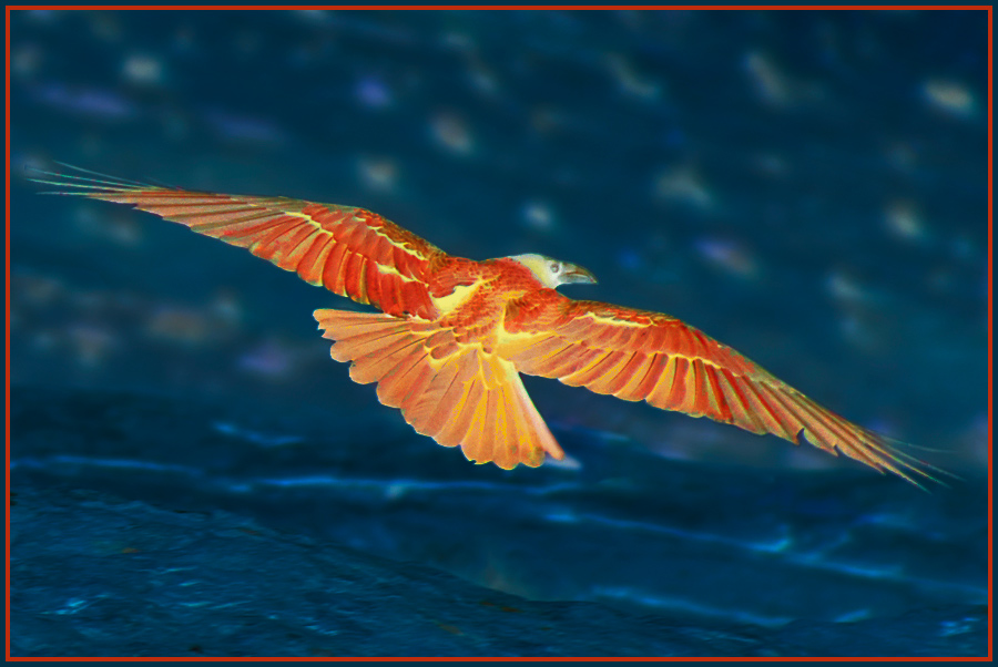 Photography by squaredd for DesignCrowd (Community Contests) | Design #8968297