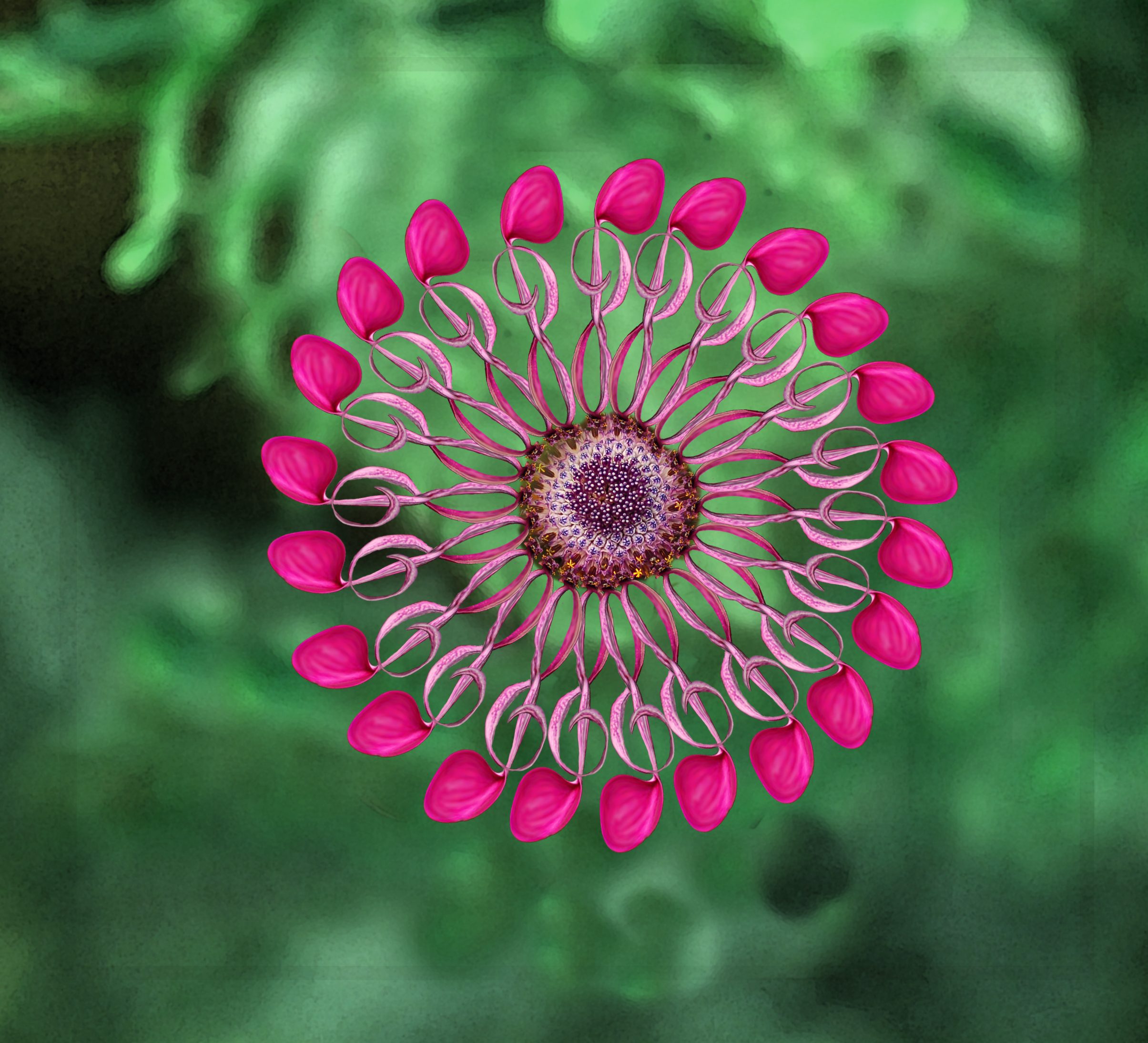 Photoshop Design by Denase for DesignCrowd (Community Contests) | Design #8965146