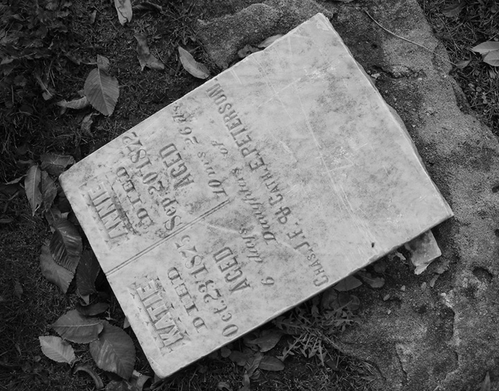 Photography by imthinkingoutloud for DesignCrowd (Community Contests) | Design #8965620