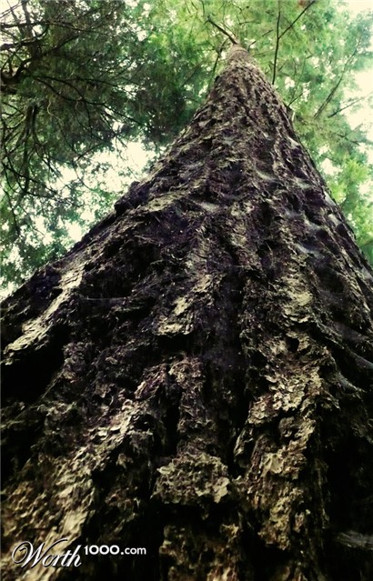 Photography by missihoule74