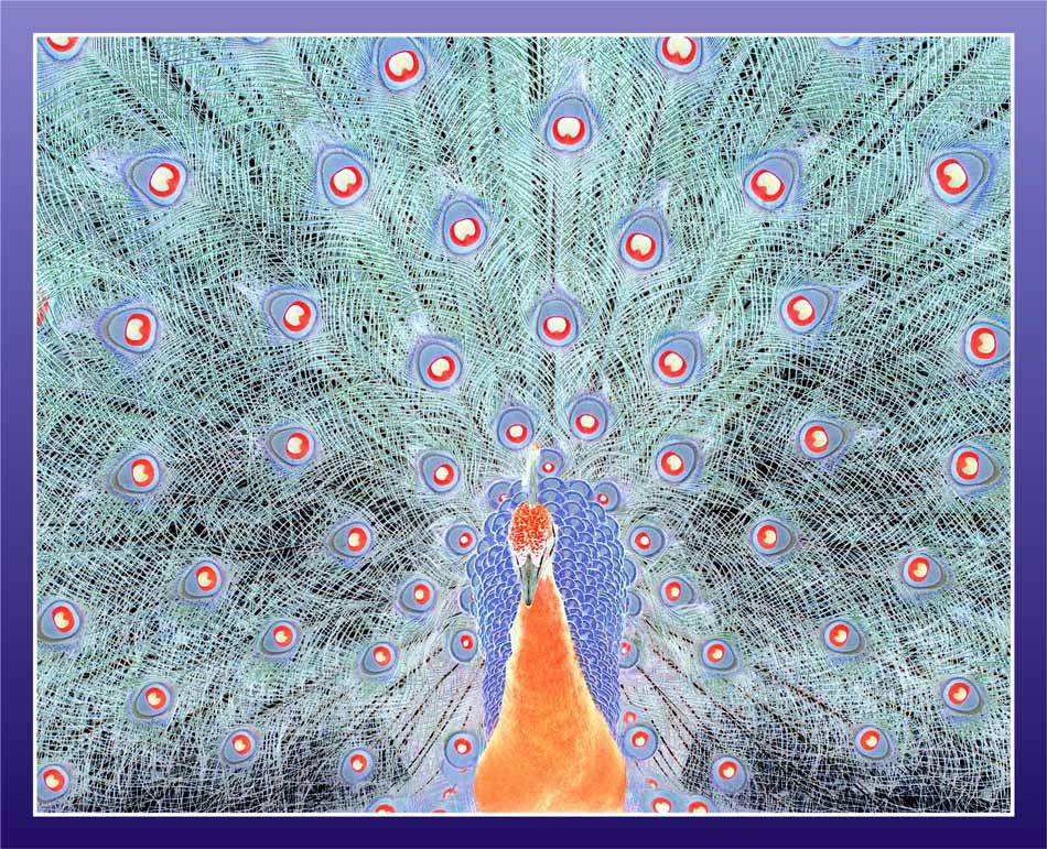 Photography by Tyssen for DesignCrowd (Community Contests) | Design #8968488