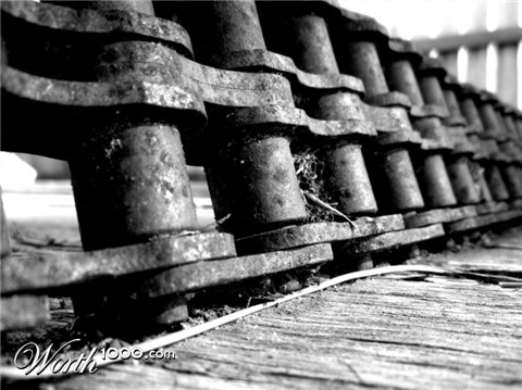 Photography by guitarfrk77
