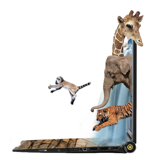 Photoshop-Design von Megz117 für DesignCrowd (Community Contests) | Design #8965627