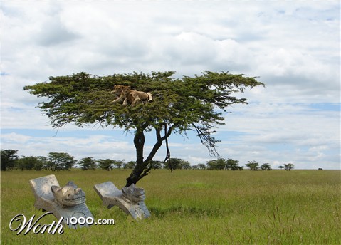 Photoshop Design by MrTexas