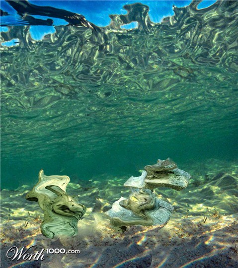 Photoshop Design by Tamayas