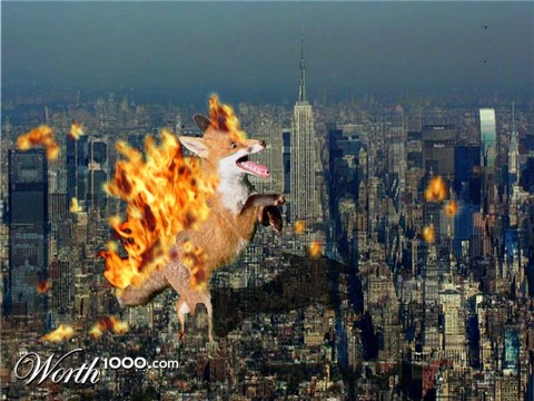 Photoshop Design by Pucker