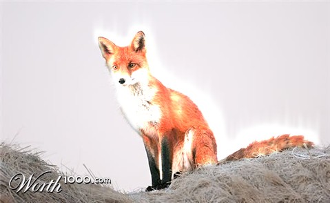 Photoshop Design by kevinfloria
