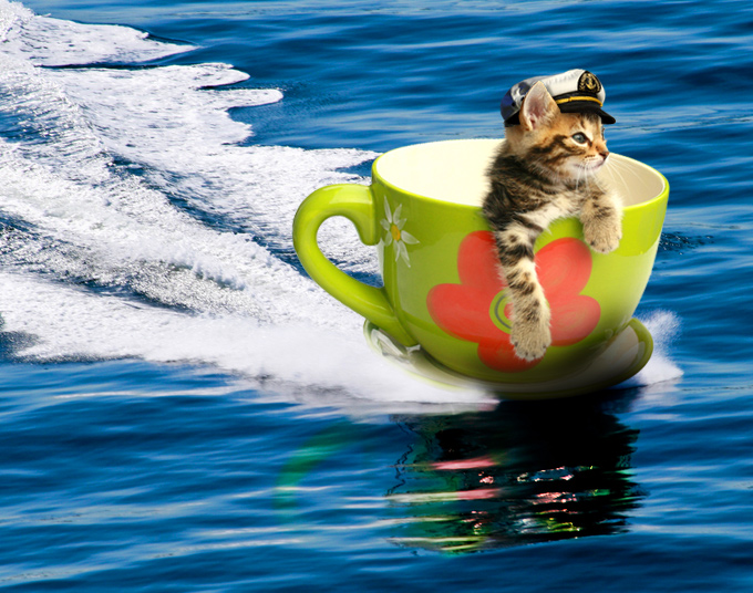 Design Photoshop par davidberettaowens pour DesignCrowd (Community Contests) | Design #8964970