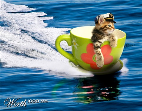 Photoshop Design by davidberettaowens