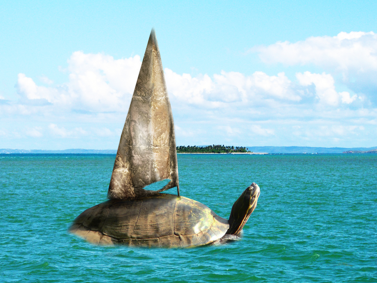 Diseño de Photoshop por stormo para DesignCrowd (Community Contests) | Diseño #8965004