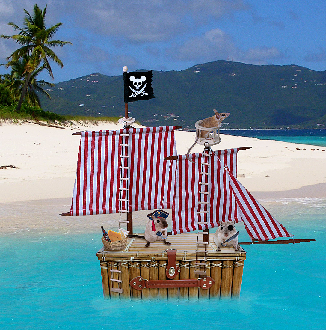 Photoshop Design by lostlittlegirl for DesignCrowd (Community Contests) | Design #8965015