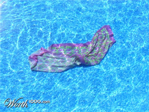 Photography by suxla2011