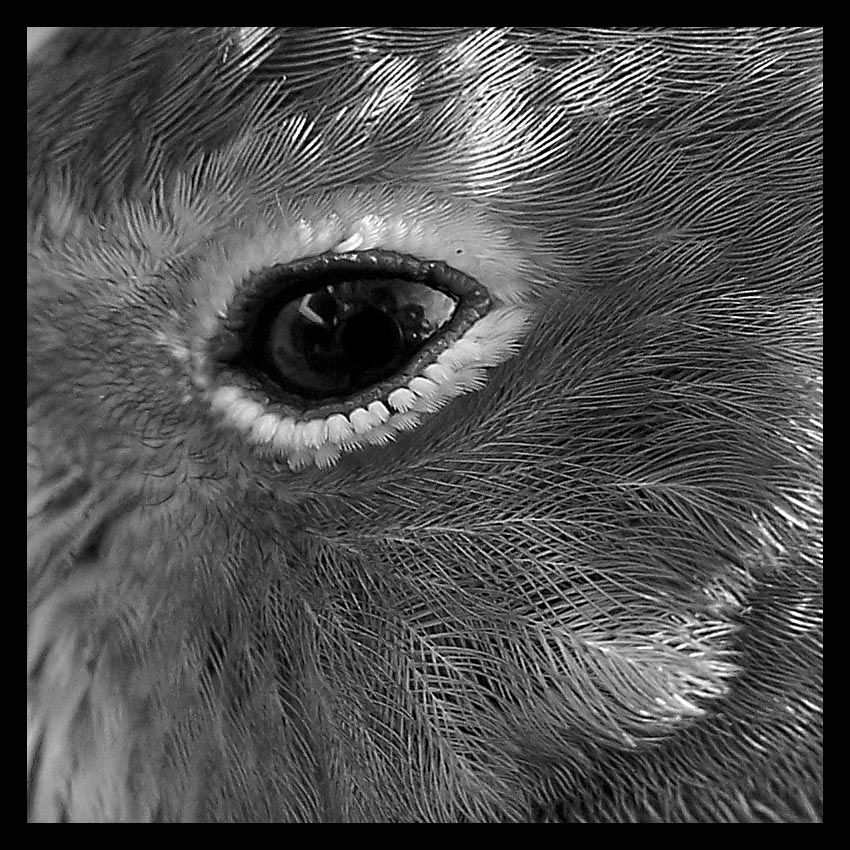 Photography by vpravda for DesignCrowd (Community Contests) | Design #8968657