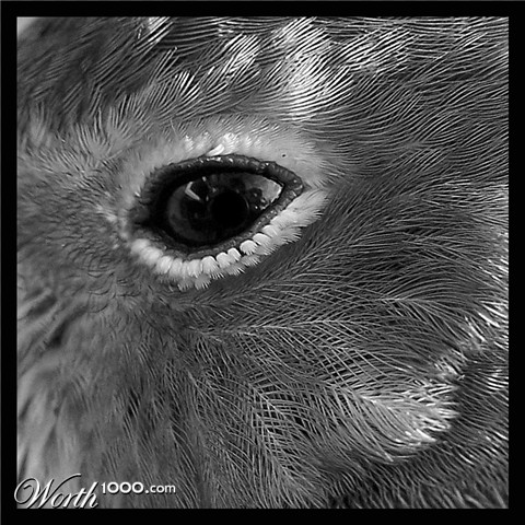 Photography by vpravda