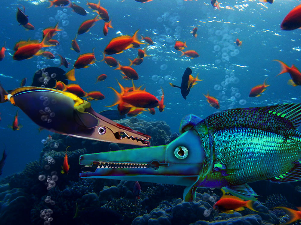 Photoshop Design by ulinow for DesignCrowd (Community Contests) | Design #8965754