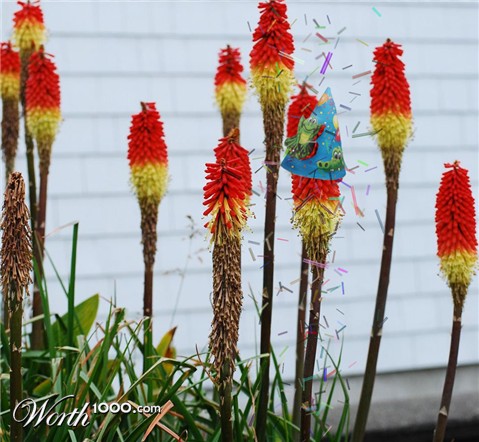 Photoshop Design by zapparina1