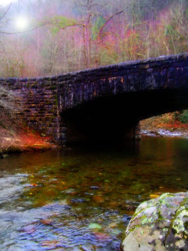 Photography by Amanda79 for DesignCrowd (Community Contests) | Design #8962362