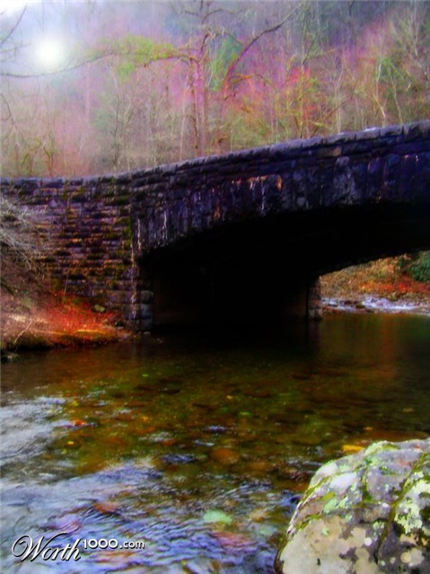 Photography by Amanda79
