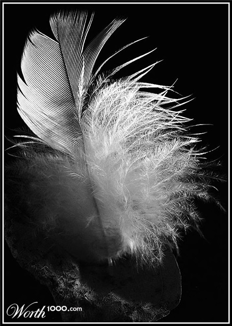 Photography by Isabella2006