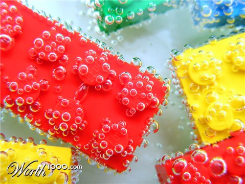 Photography by fujiellena