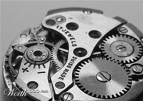 Photography by orazio