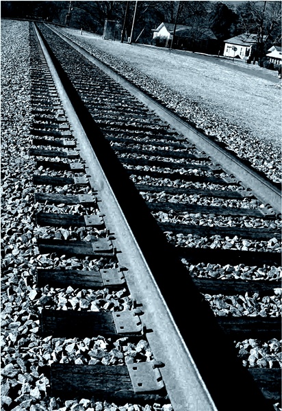 Photography by cassnorton for DesignCrowd (Community Contests) | Design #8962358