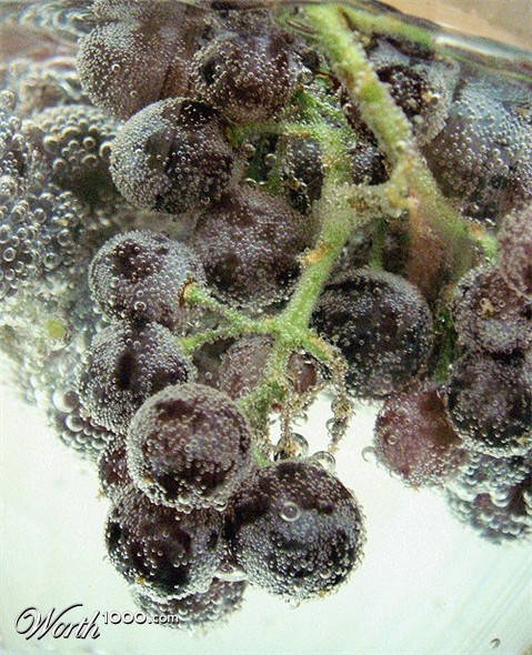 Photography by JoneSyMouSeY