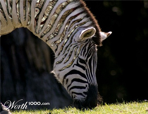 Photoshop Design by TikiDan