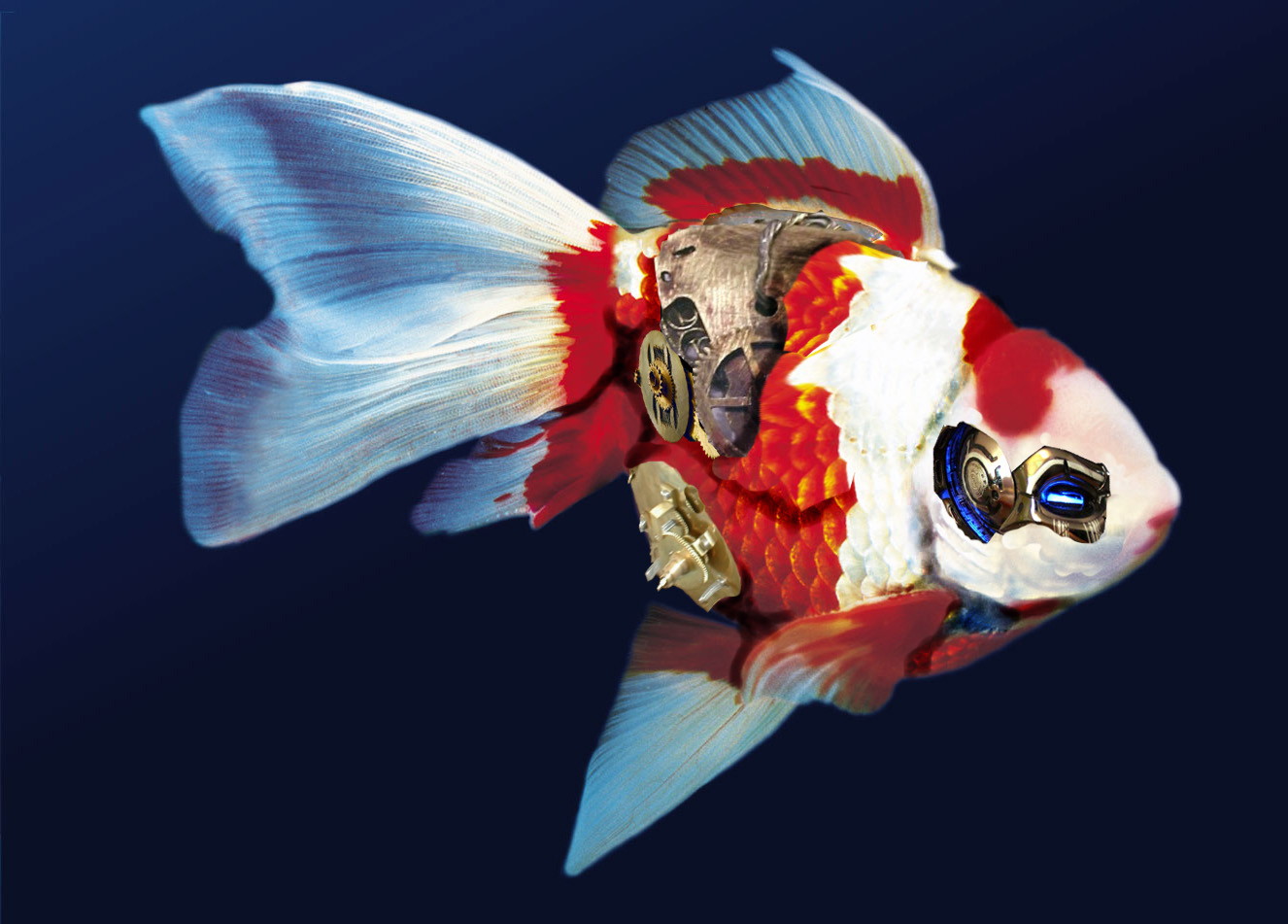 Design Photoshop par MannyT pour DesignCrowd (Community Contests) | Design #8963935