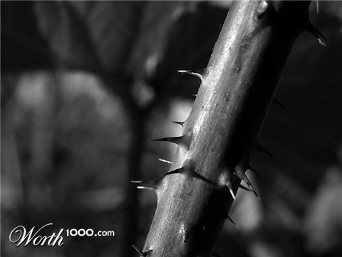 Photography by Antharon