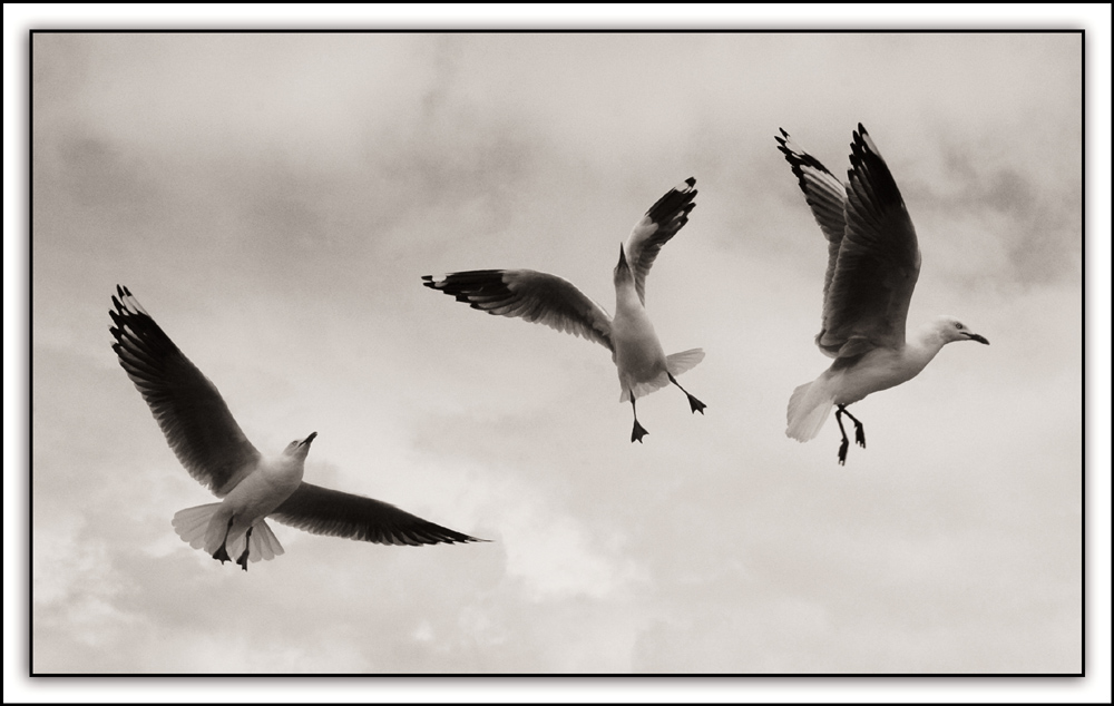 Fotografía por kimbomac para DesignCrowd (Community Contests) | Diseño #8969160