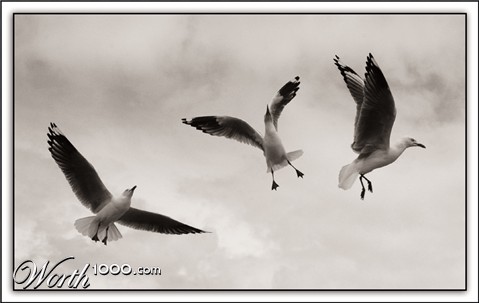 Photography by kimbomac