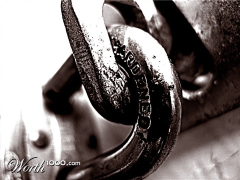 Photography by bronzino