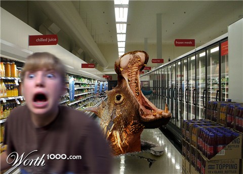 Photoshop Design by ilovekarate