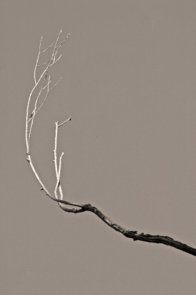 Photographie par Lmorrow57 pour DesignCrowd (Community Contests) | Design #8963847