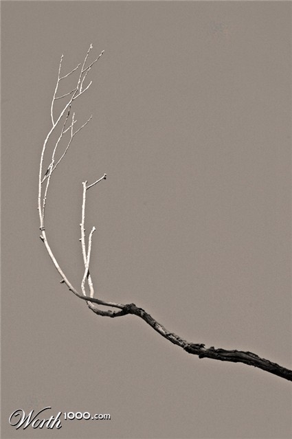 Photography by Lmorrow57