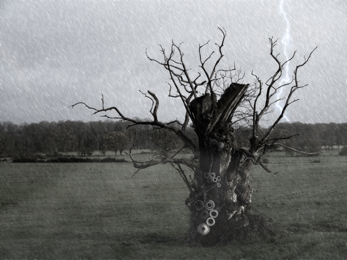 Design Photoshop par PatWeiss pour DesignCrowd (Community Contests) | Design #8963970