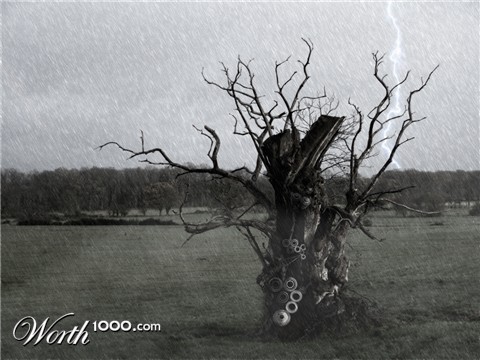 Photoshop Design by PatWeiss