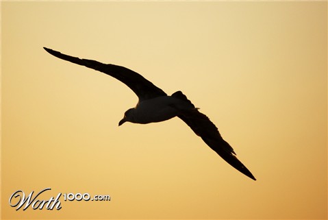 Photography by kimbercore