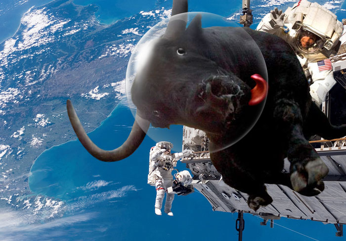 Diseño de Photoshop por Gezzunder para DesignCrowd (Community Contests) | Diseño #8963978