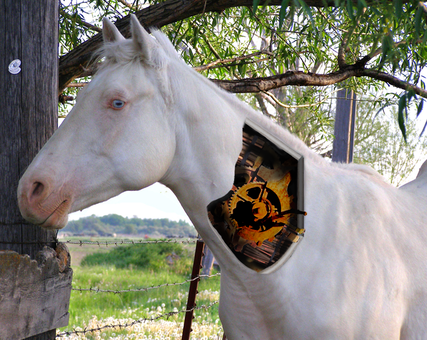 Photoshop Design by Sconz323 for DesignCrowd (Community Contests) | Design #8964051