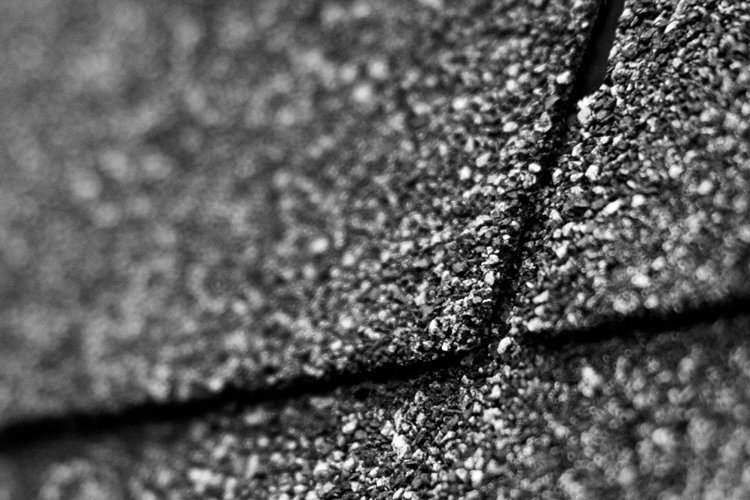 Photography by lokpal007 for DesignCrowd (Community Contests) | Design #8968767