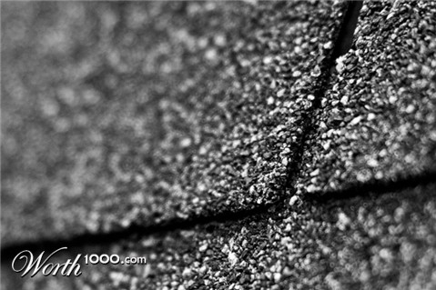 Photography by lokpal007