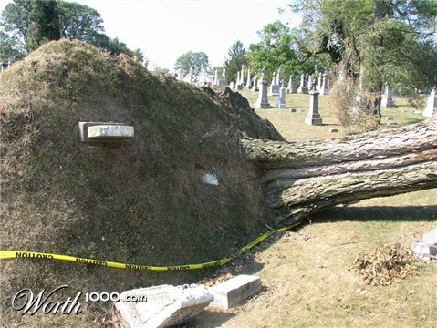 Photography by rocky0009