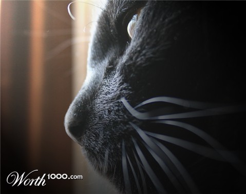 Photography by kevinness17