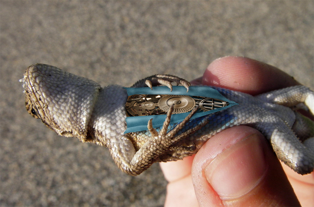 Design Photoshop par willibarb pour DesignCrowd (Community Contests) | Design #8964004