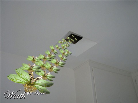 Photoshop Design by perrry