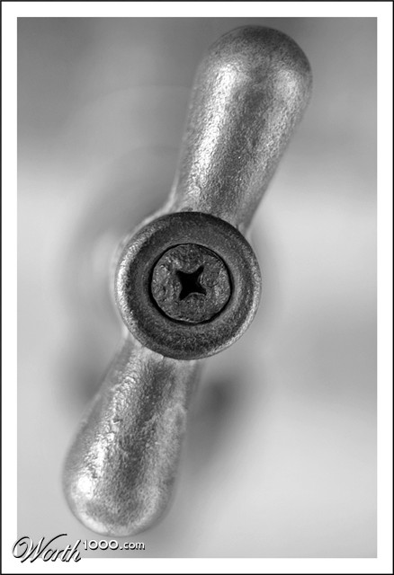 Photography by SigloV