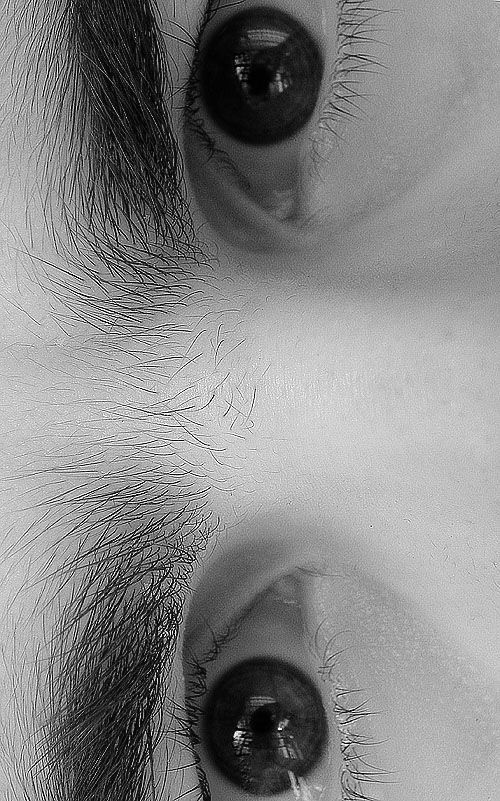 Photography by amirbse for DesignCrowd (Community Contests) | Design #8968929